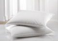 Pacific Coast ® Down Surround ® Pillows