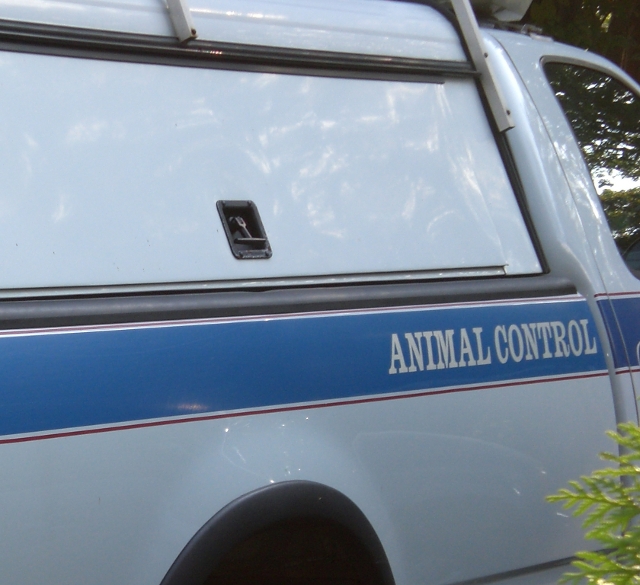 Animal Control Officer's Truck