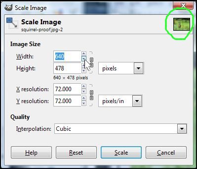 Start Scale Image