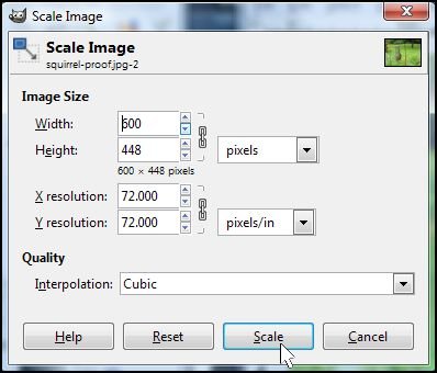 Finish Scale Image
