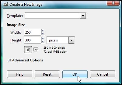 GIMP Choose a size