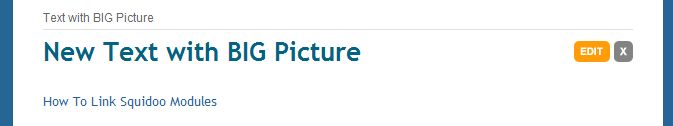 Text with BIG Picture module