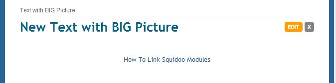 Text with BIG Picture module