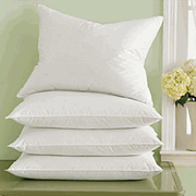 Pacific Coast® Down Surround® Pillow