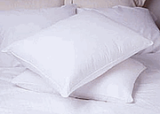 Pacific Coast Martex® EcoPure Pillows Pacific Coast Martex® EcoPure Pillows