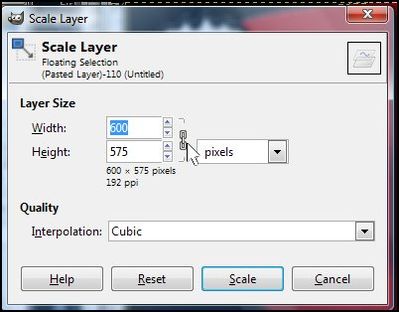 Scale Layer Dialog Box
