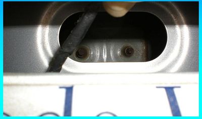 Snake Wires Above License Plate