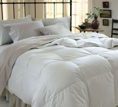 Pacific Coast® White Goose Down Comforters