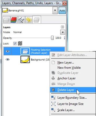 Delete Layer