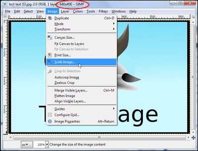 Select Image - Scale Image