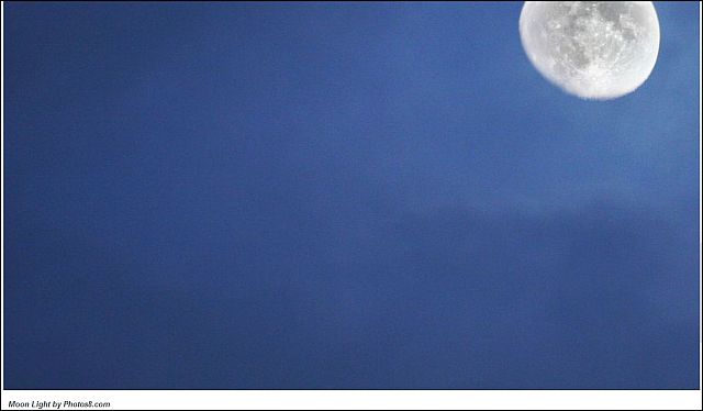 Moon Light Picture From Photos8.com