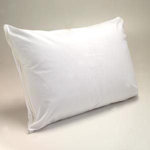 Natural Comfort Deluxe Silk Filled Pillows