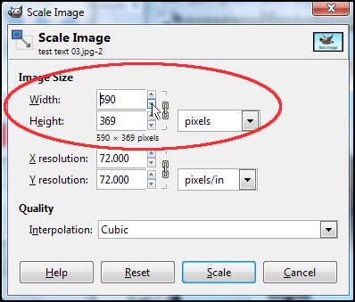 Scale Image - Resized Dimensions