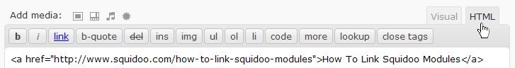 HTML View Of Copied Text Link